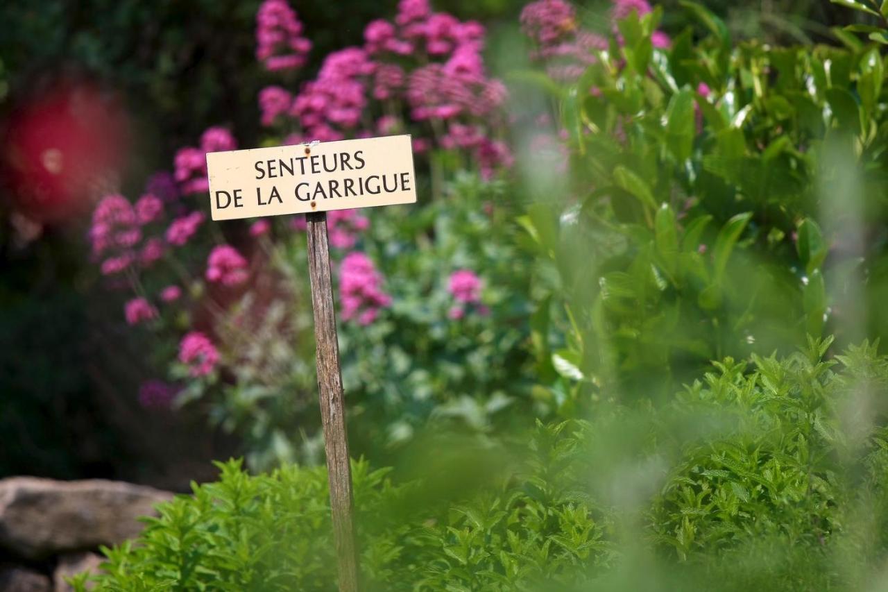 Maison De Village La Clemaline Figanieres Экстерьер фото